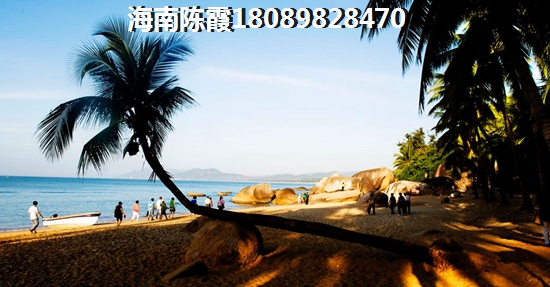 以后嘉兴海宁金泰城房价怎么走？