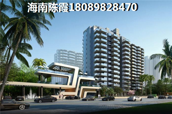 金洲海尚 一居  户型图