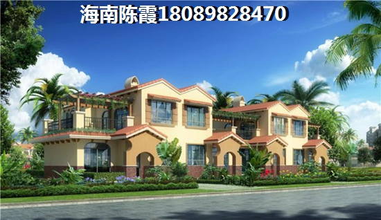 金洲海 一居  户型图