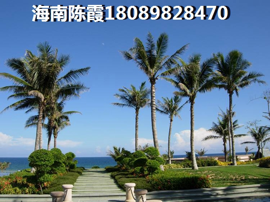 佳苑府邸 一居  户型图