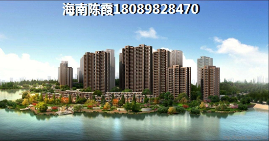 平湖乍浦恒大御景湾 一居  户型图