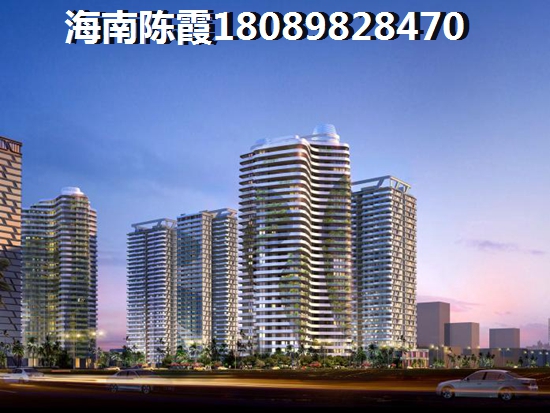 碧桂园中央 一居  户型图