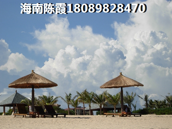 江南新天地 一居  户型图