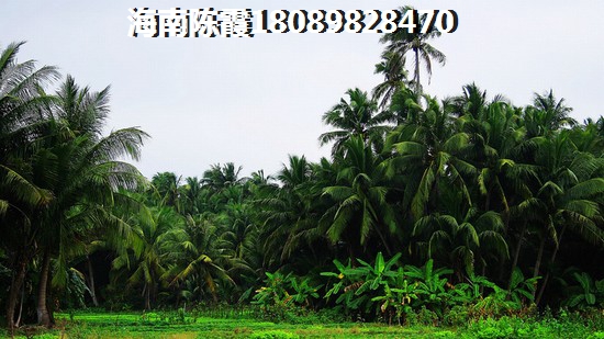 碧桂园星辰苑 景观园林 