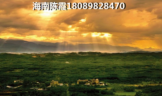 碧桂园•海湾一号